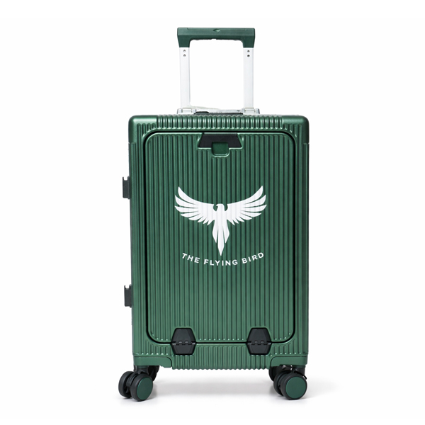 The Flying Bird 8